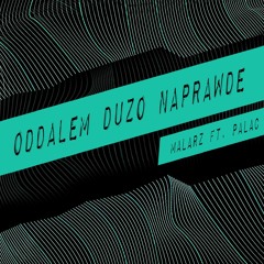 Malarz ft. Pałac - Oddałem Dużo Naprawdę