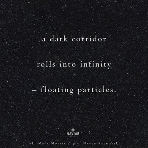 From a Lighted Finite Vantage (NaviarHaiku316)