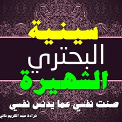 سينية البحتري الرائعة...يصف فيها إيوان كسرى