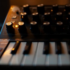 Moog Minitaur sound demo