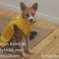 Funsocks_Mun koira ei tykkää mun musiikista