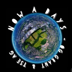 T $ E (Grant & AG)- Now a Days