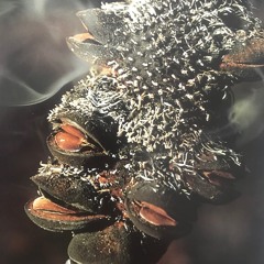 Loud - 5 billion stars remix