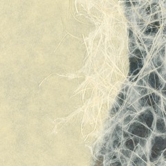 Protean - Apoly (NTRM-001)