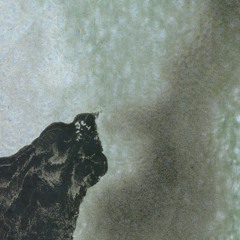 Phi - Teryo (NTRM-002)