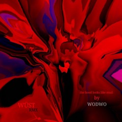 the blood looks like mud Rmx :::: WÜST & WODWO