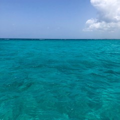 Everything I Wanted - Cover - Billie Eilish