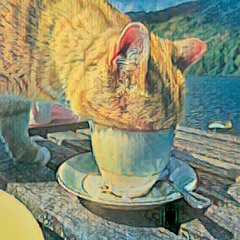 Boson Spin - Friends over for tea [part 17]