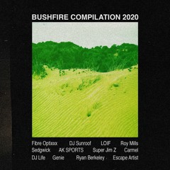Bushfire Compilation 2020 Snippets