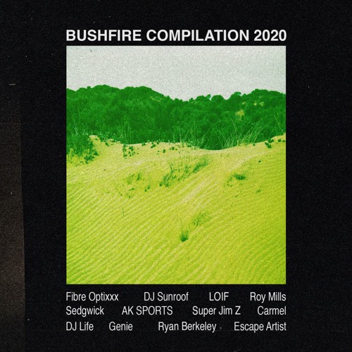 Bushfire Compilation 2020 Snippets