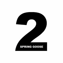 Spring Goose DJ set - January 2020 - TECHNO 125Bpm - All songs by Spring Goose