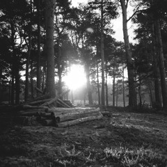 Cities #260 - Arlington [Deep - House - Easy Listening - Chill Out]