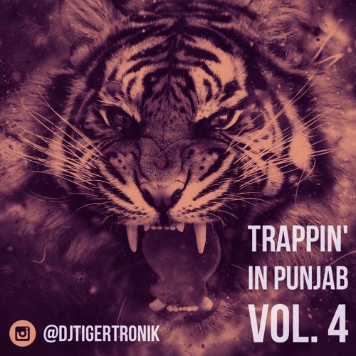 Trappin' in Punjab Vol. 4 | Party Mix | TIGERTRONIK