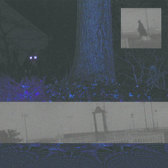 CALSUTMORAN - THE SIDESHOWS