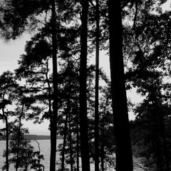 R.I.P (2018) ORIGINAL.