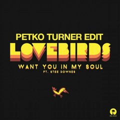 I Want You In My Soul (Petko Turner Edit)