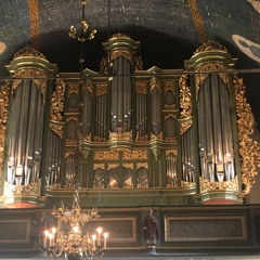 Tm Organ
