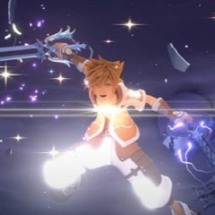 Starry Night (Black Koi)