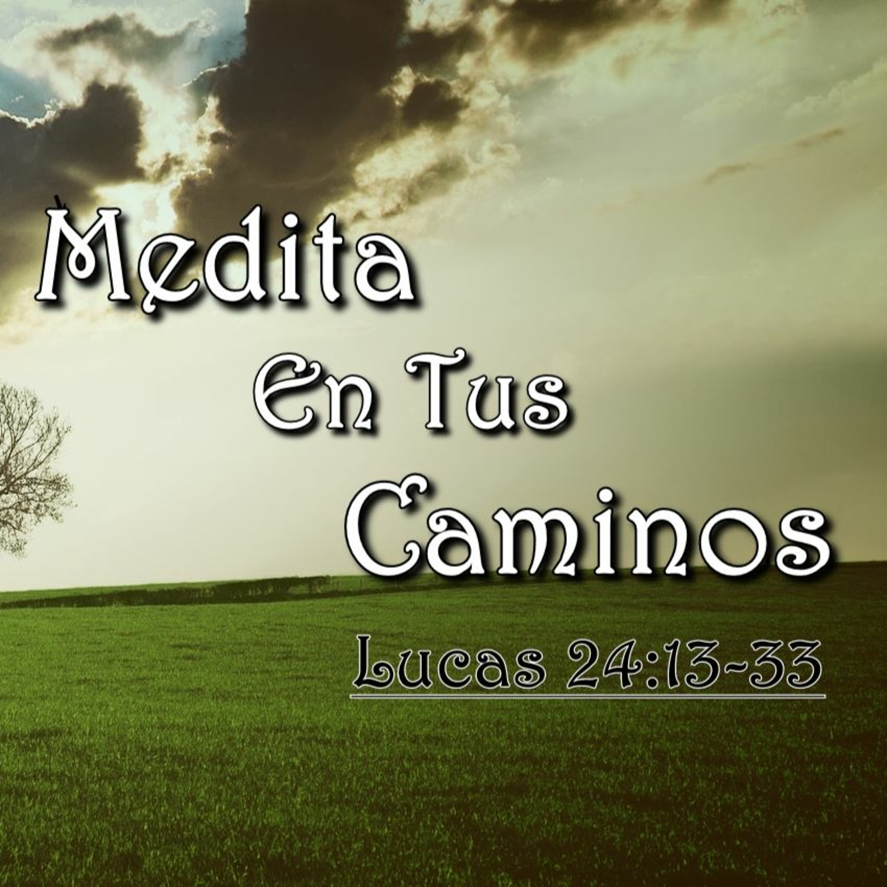 Ministerio Verso a Verso con Jesús