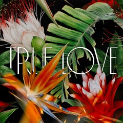 Анжелика Пушнова - TRUE LOVE