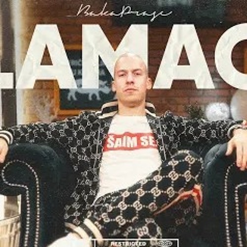 Baka Prase - BLAMAGE