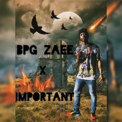 BPG Zaee x Important Remix