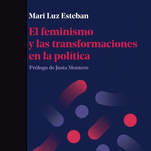 «El feminismo y las transformaciones en la política» Mari Luz Esteban