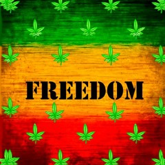 Freedom