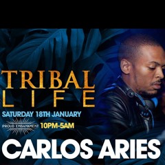 TRIBAL LIFE - DJ CARLOS ARIES LIVE 30mins
