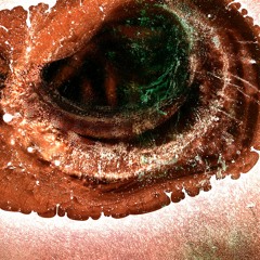 Europ Europ - Falling Leaves - Autumn Hits Vol. 3 - 11 Slow Train To Death