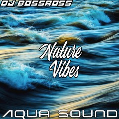NatureVibes & DJ BossRoss | Aqua Sound | Underground Deep