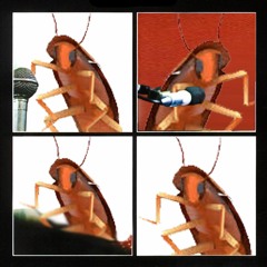 The Cockroaches
