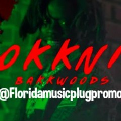 9lokknine - Bakkwoods