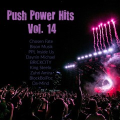 Push Power Hits Vol. 14