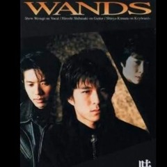 WANDS 時の扉