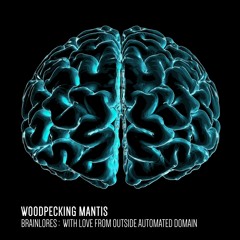 Brainlores - With Love From Outside Automated Domain