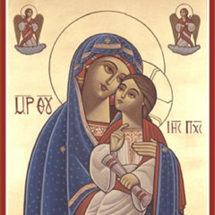 Your Compassion O Mother