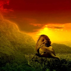 THE ABYSSINIANS