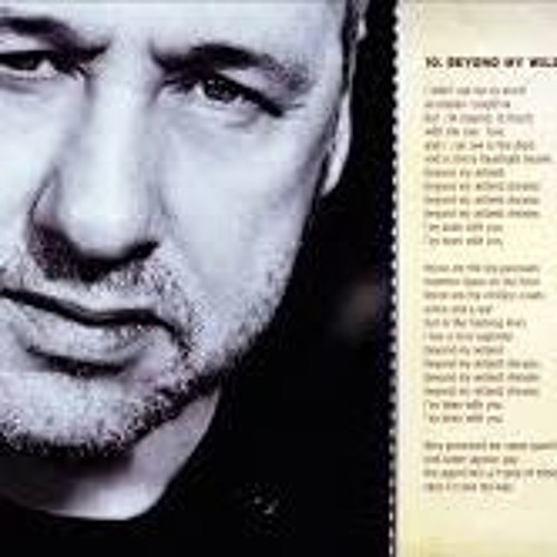 BEYOND MY WILDEST DREAMS  (Mark Knopfler)