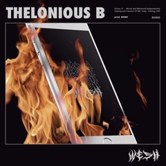 THELONIOUS B. - WESH! (prod. BRBK)