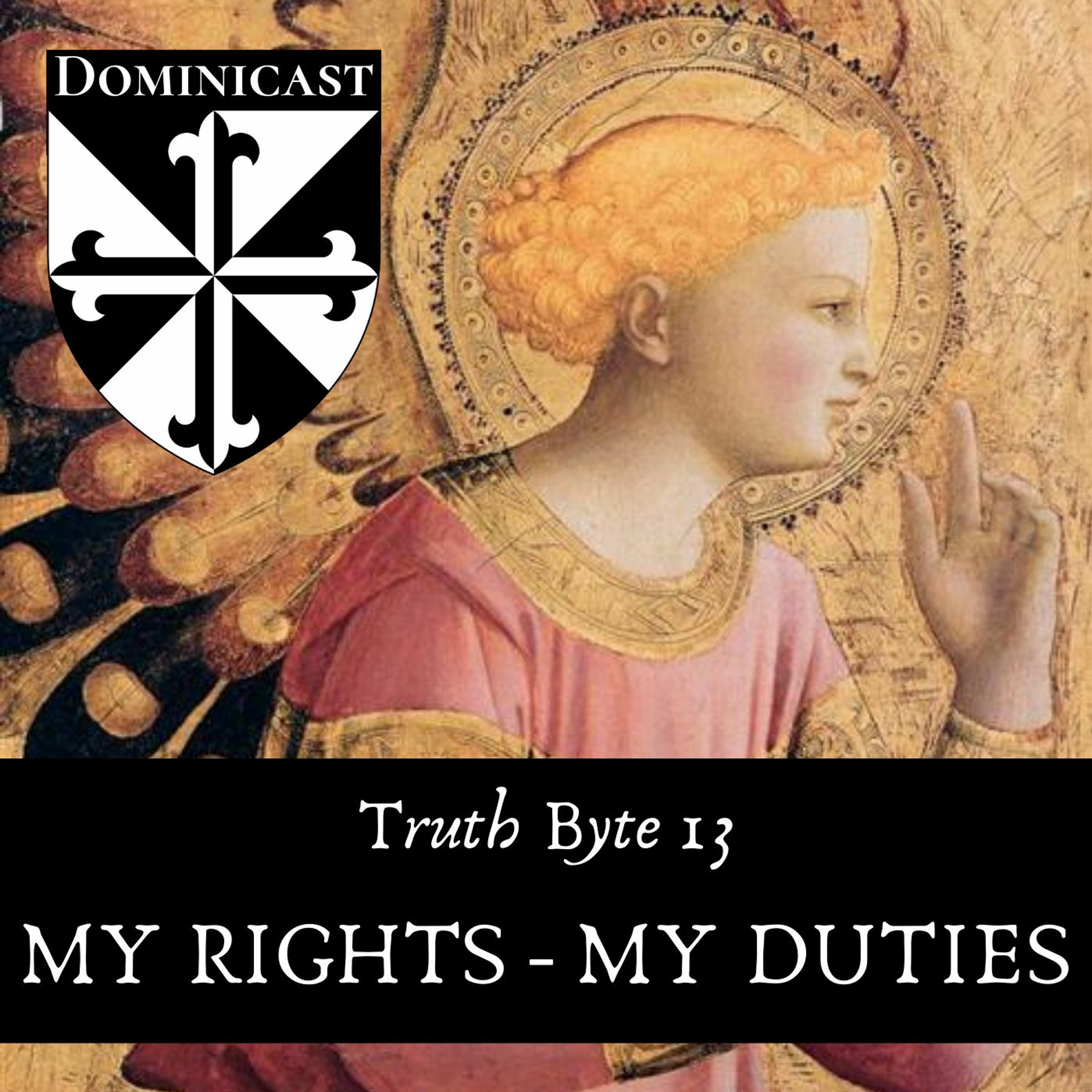 My Rights / My Duties - Truth Byte 13 episode artwork