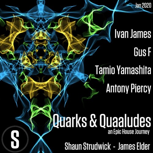 Q&Q Jan 2020 - Shaun Strudwick