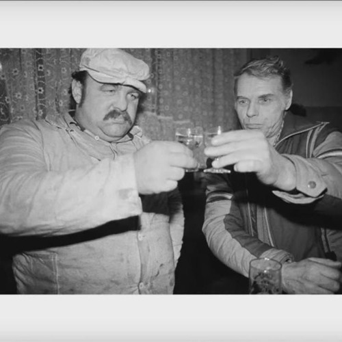 Stream südpol in aspik | bassbotanik überwach(t), 18/01/20 by das bræt ...