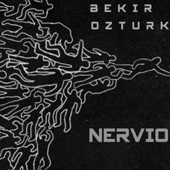Bekir Ozturk - Nervio