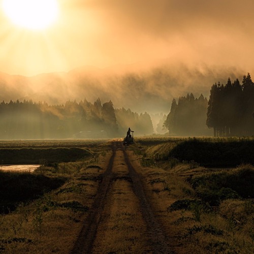 Serenity