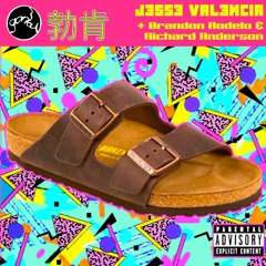 Birkenstocks (Radio Edit) - Jesse Valencia and Brandon Rodelo