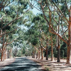 Clips - Lyrics - Australia Vol 1