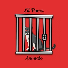 Stream Lil Puma music | Listen to songs, albums, playlists for free on  SoundCloud