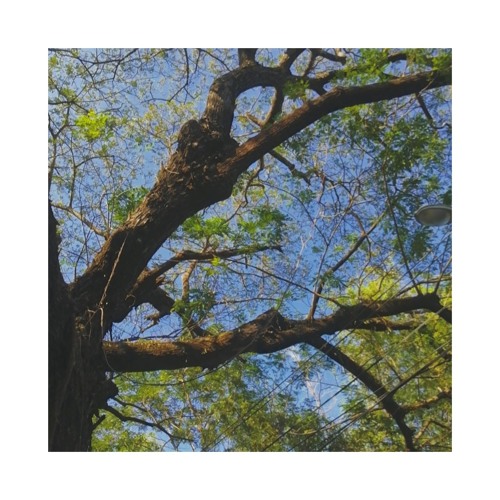 another one by mac demarco - cover by geiko