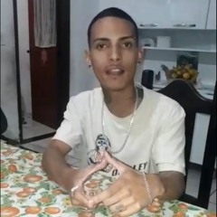 MEGA DAS CU DE FRANGO ( DJ BN SILVA & DJ WL )